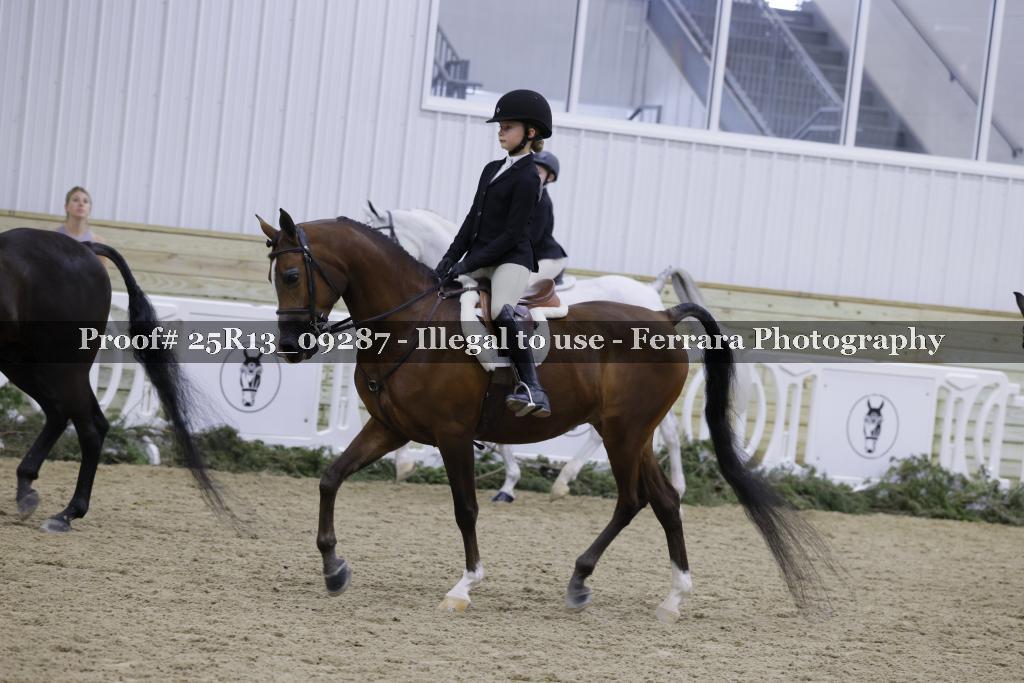 Proof Number 25R13_09287