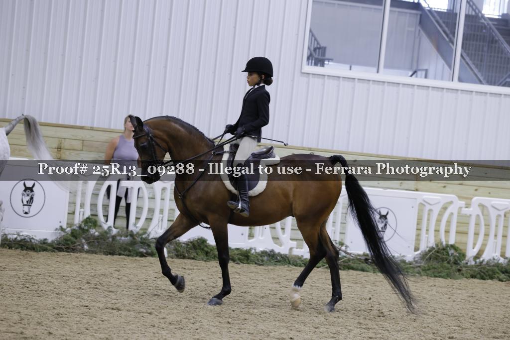 Proof Number 25R13_09288