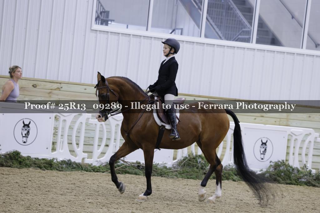 Proof Number 25R13_09289