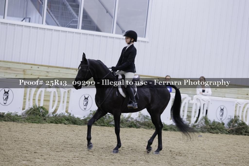 Proof Number 25R13_09290