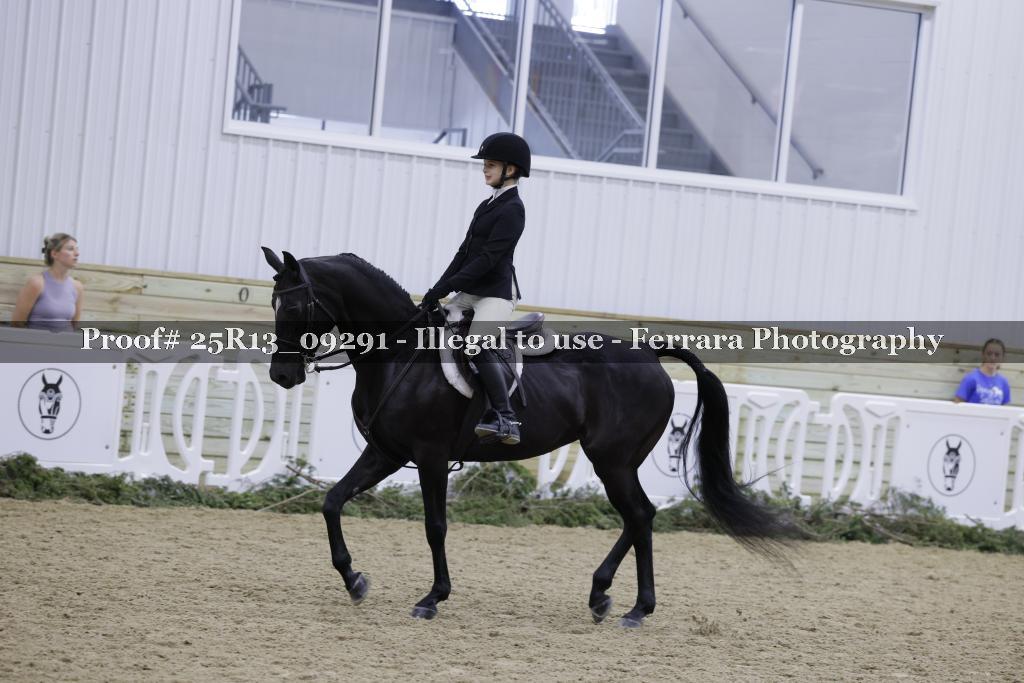 Proof Number 25R13_09291