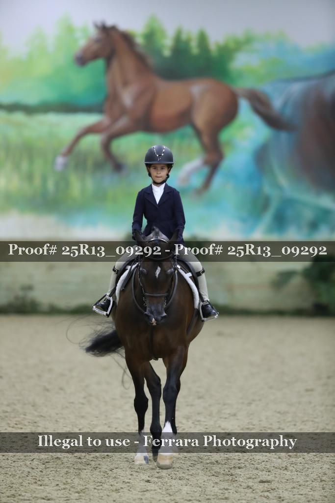 Proof Number 25R13_09292