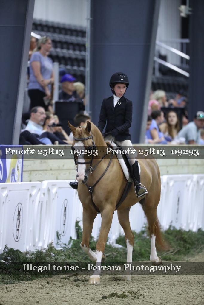 Proof Number 25R13_09293