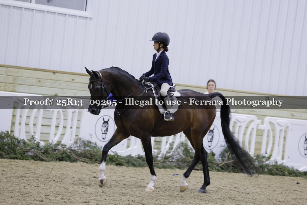 Proof Number 25R13_09295