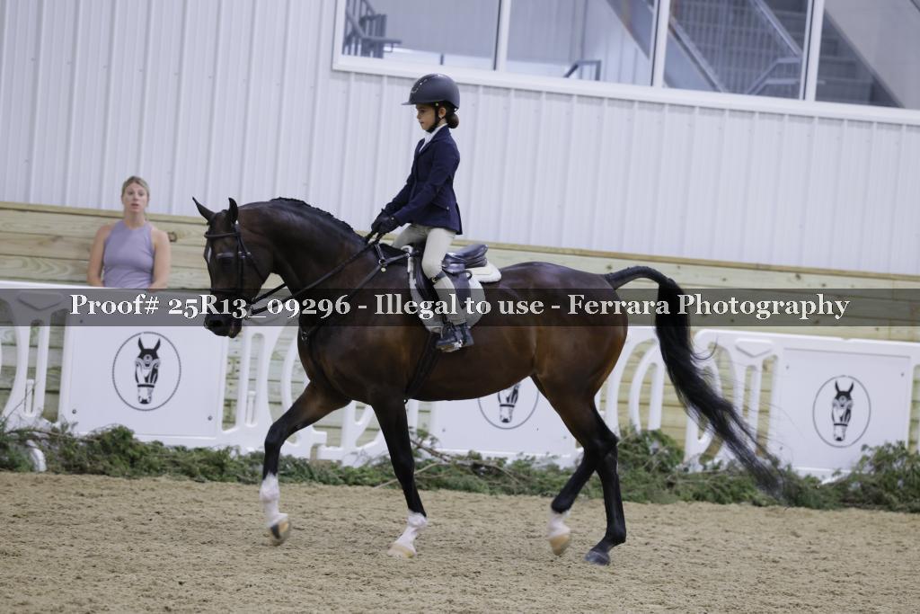 Proof Number 25R13_09296