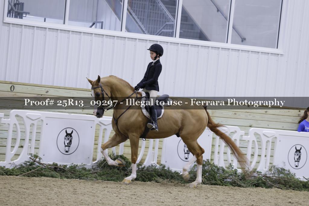 Proof Number 25R13_09297