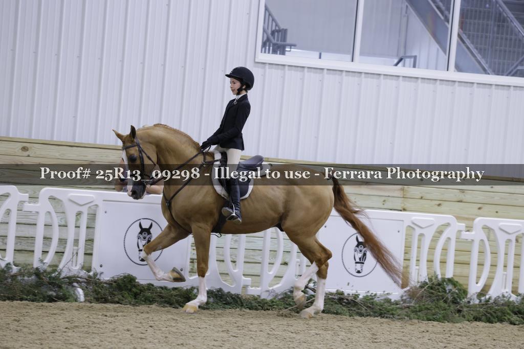 Proof Number 25R13_09298