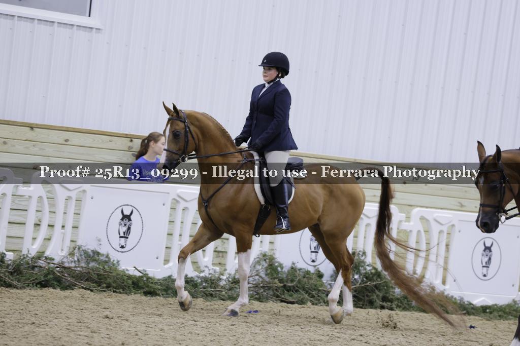 Proof Number 25R13_09299