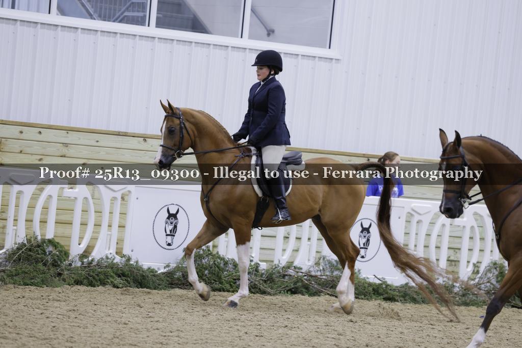 Proof Number 25R13_09300