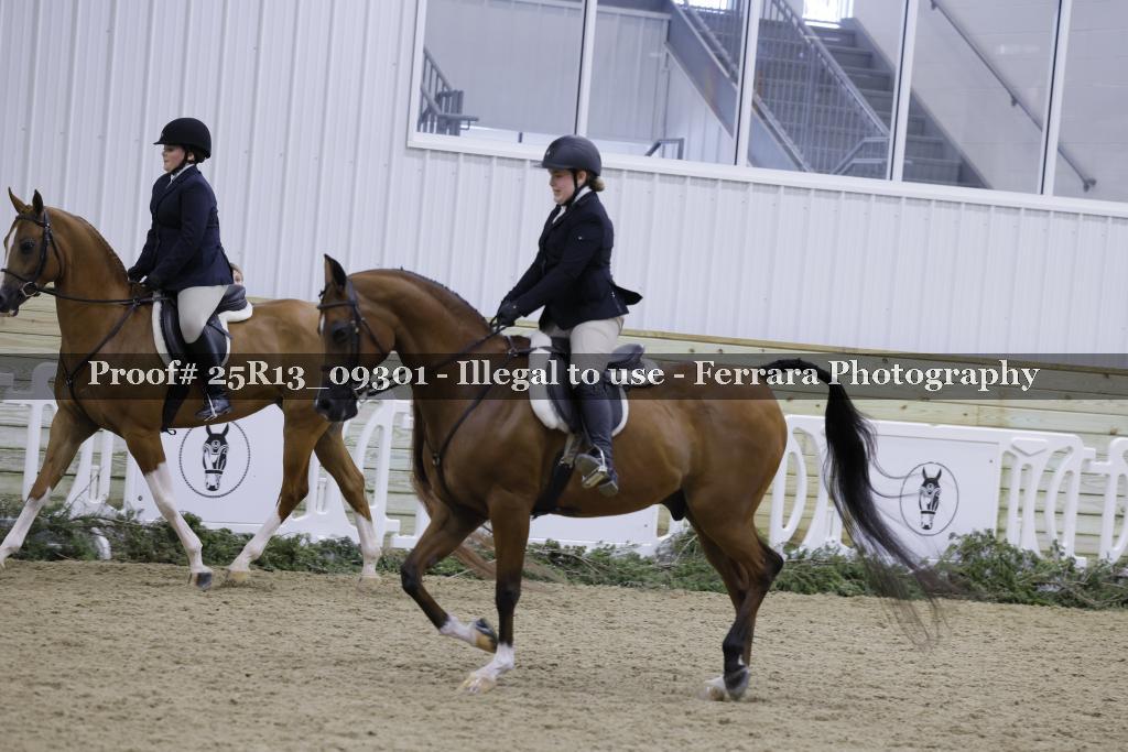 Proof Number 25R13_09301