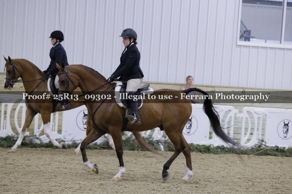 Proof Number 25R13_09302