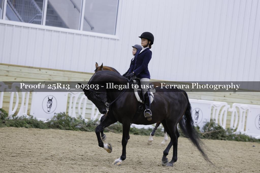 Proof Number 25R13_09303