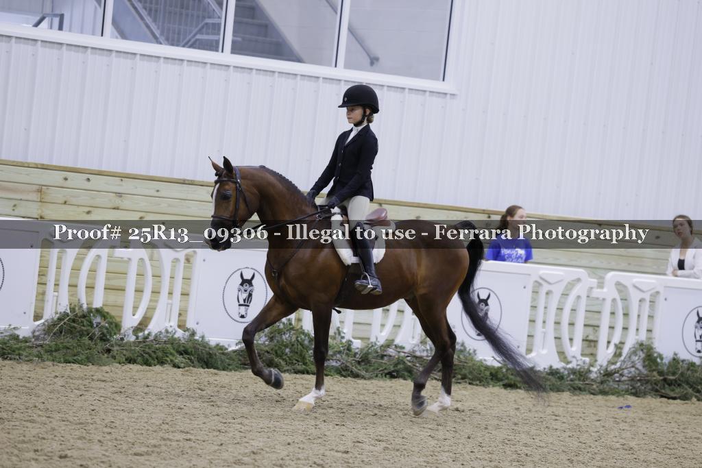 Proof Number 25R13_09306