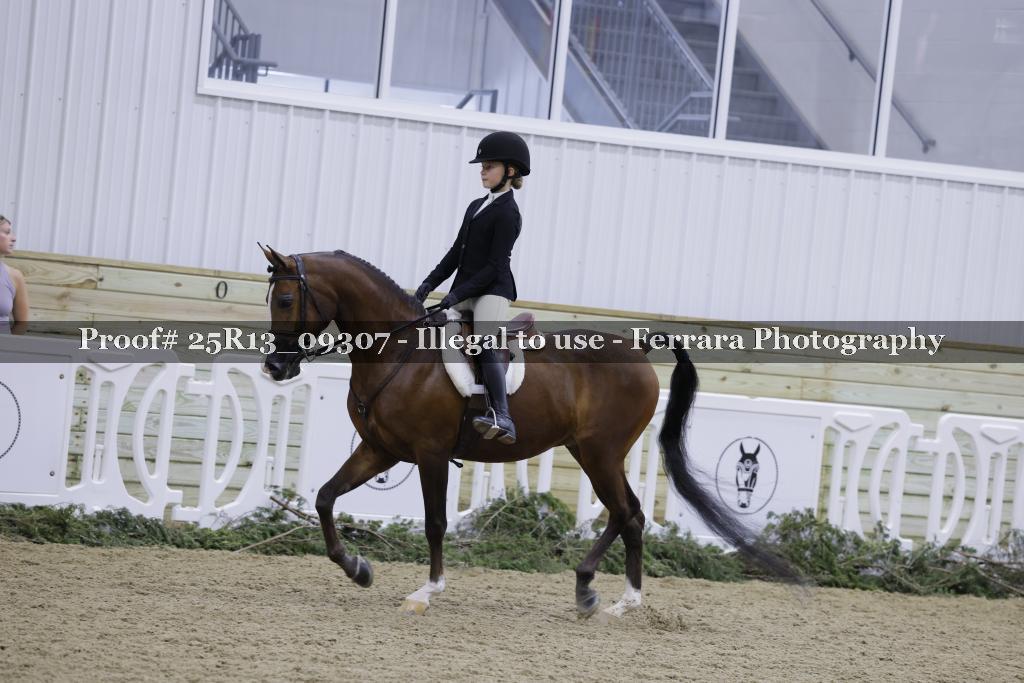 Proof Number 25R13_09307