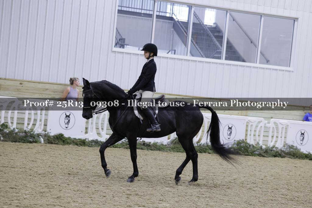 Proof Number 25R13_09308