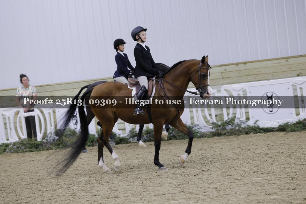 Proof Number 25R13_09309