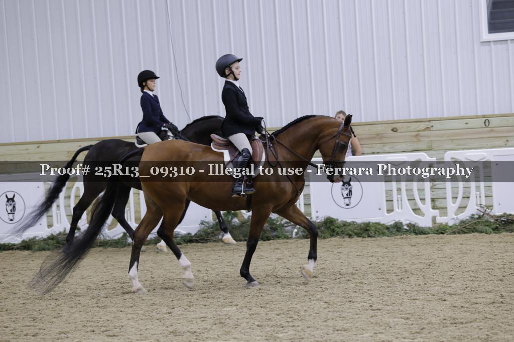 Proof Number 25R13_09310