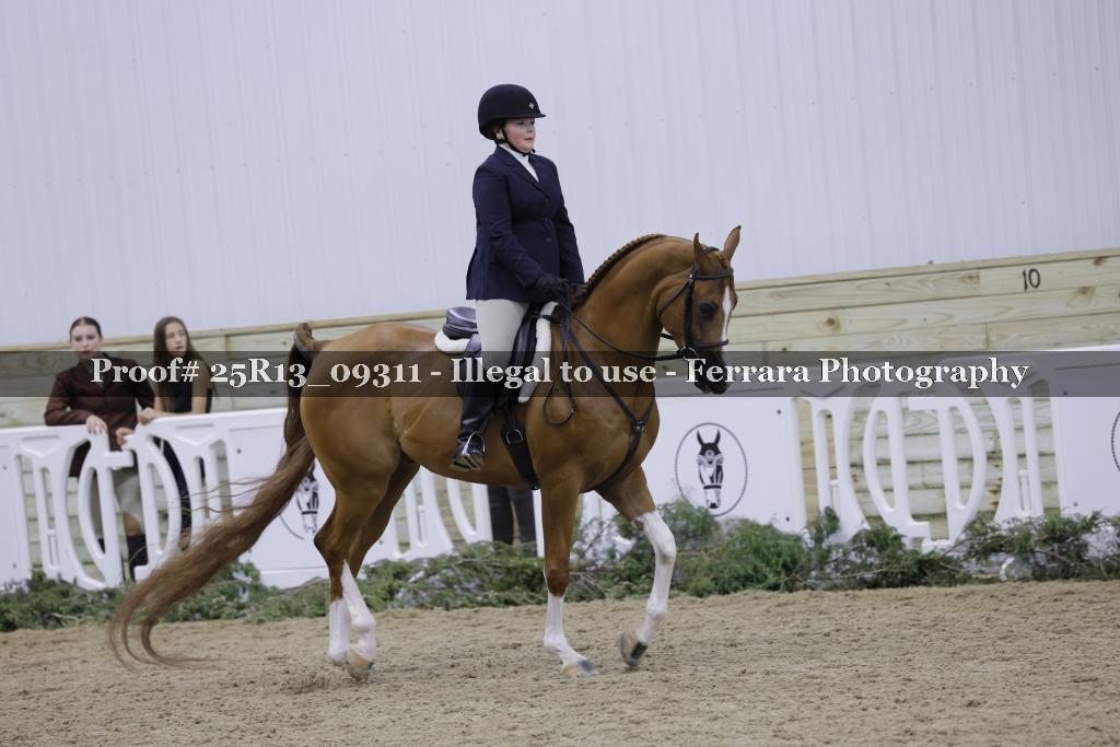 Proof Number 25R13_09311
