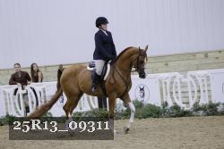 25R13_09311 thumbnail