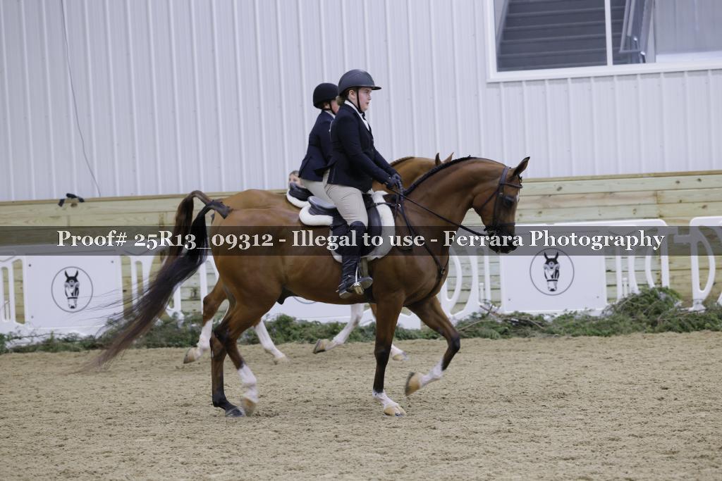 Proof Number 25R13_09312
