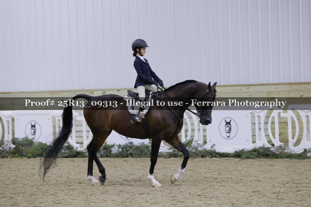 Proof Number 25R13_09313