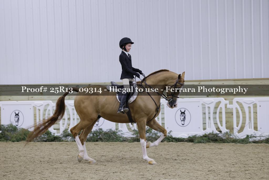 Proof Number 25R13_09314
