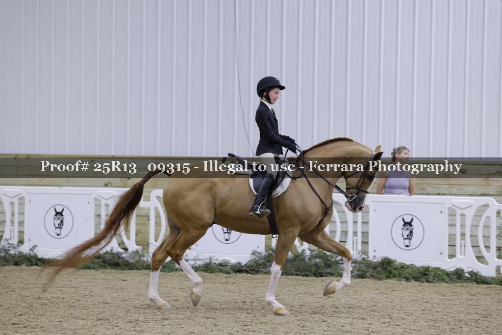 Proof Number 25R13_09315