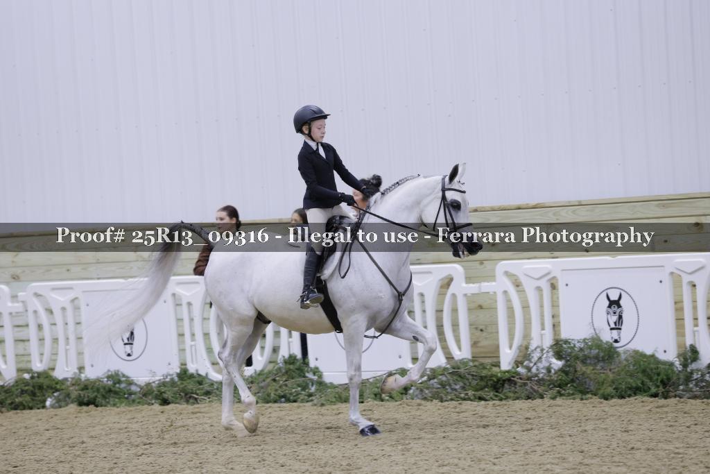 Proof Number 25R13_09316