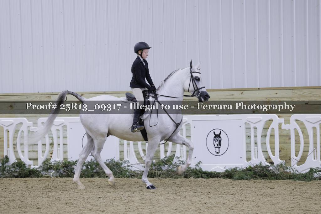 Proof Number 25R13_09317