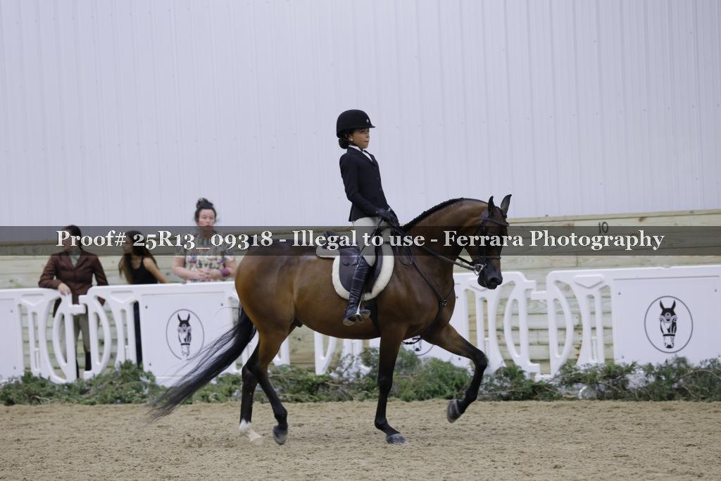 Proof Number 25R13_09318