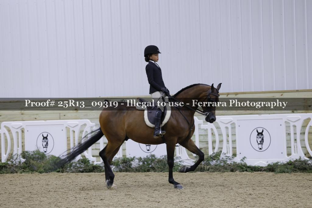 Proof Number 25R13_09319