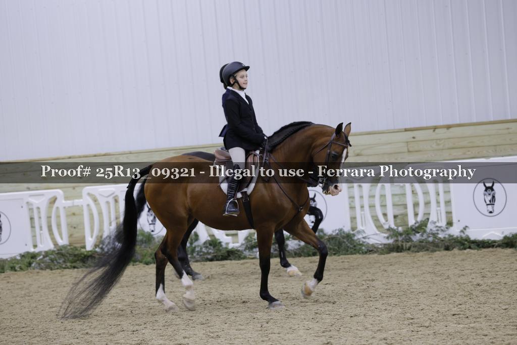 Proof Number 25R13_09321