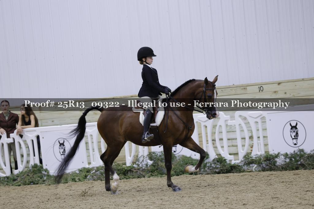 Proof Number 25R13_09322