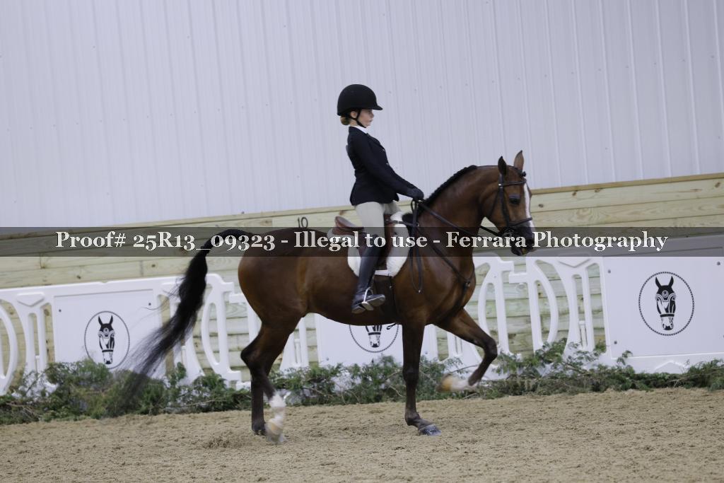 Proof Number 25R13_09323