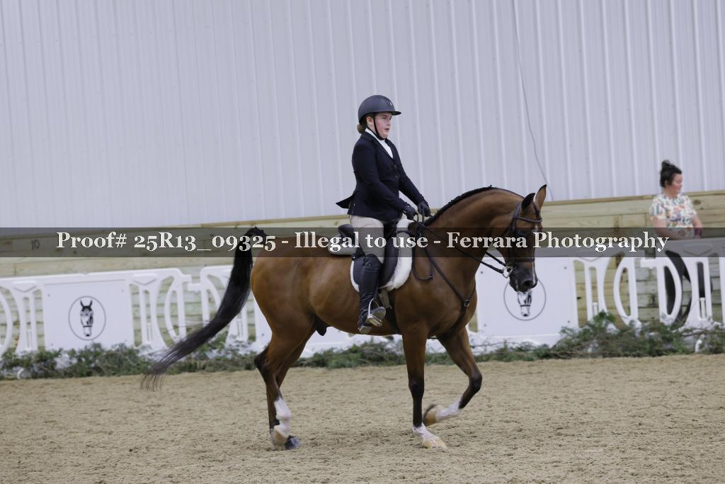 Proof Number 25R13_09325