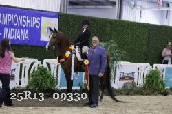 25R13_09330 thumbnail