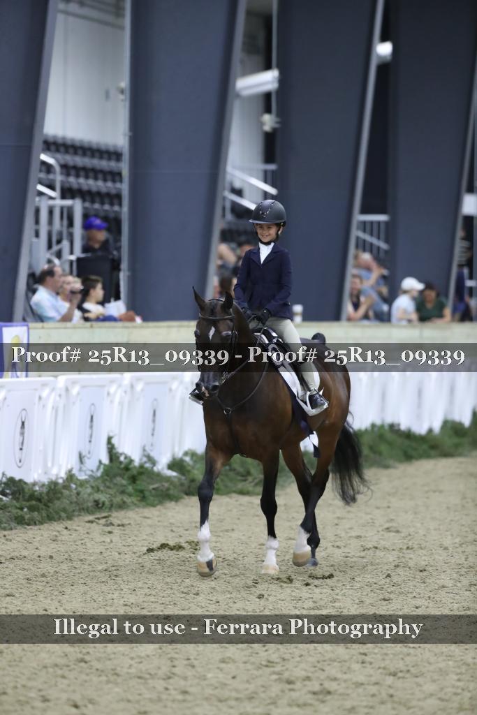 Proof Number 25R13_09339