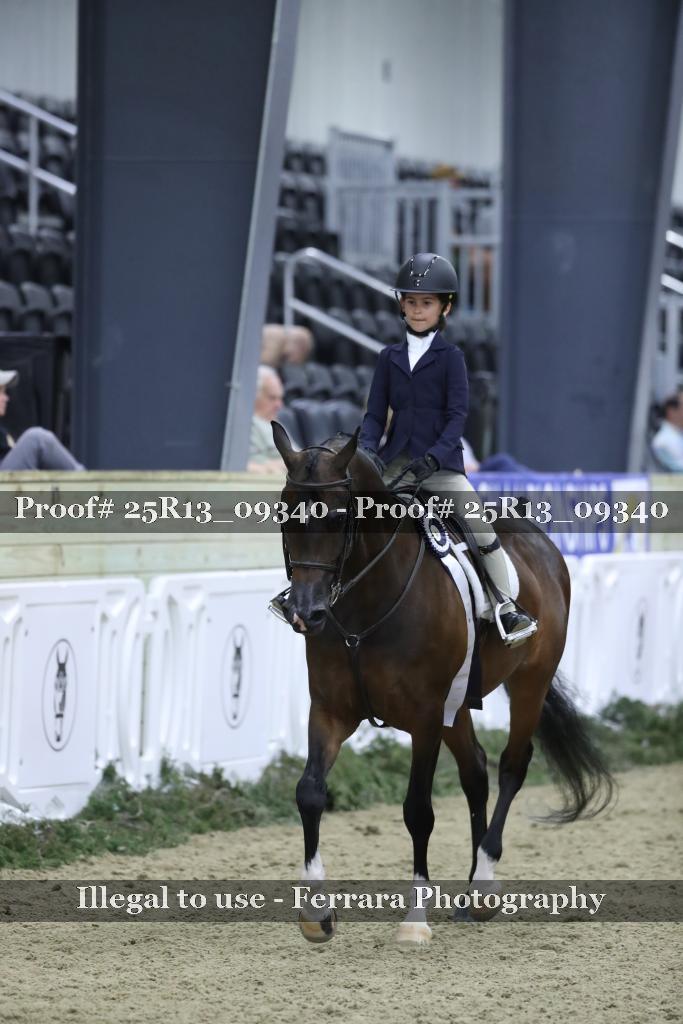 Proof Number 25R13_09340