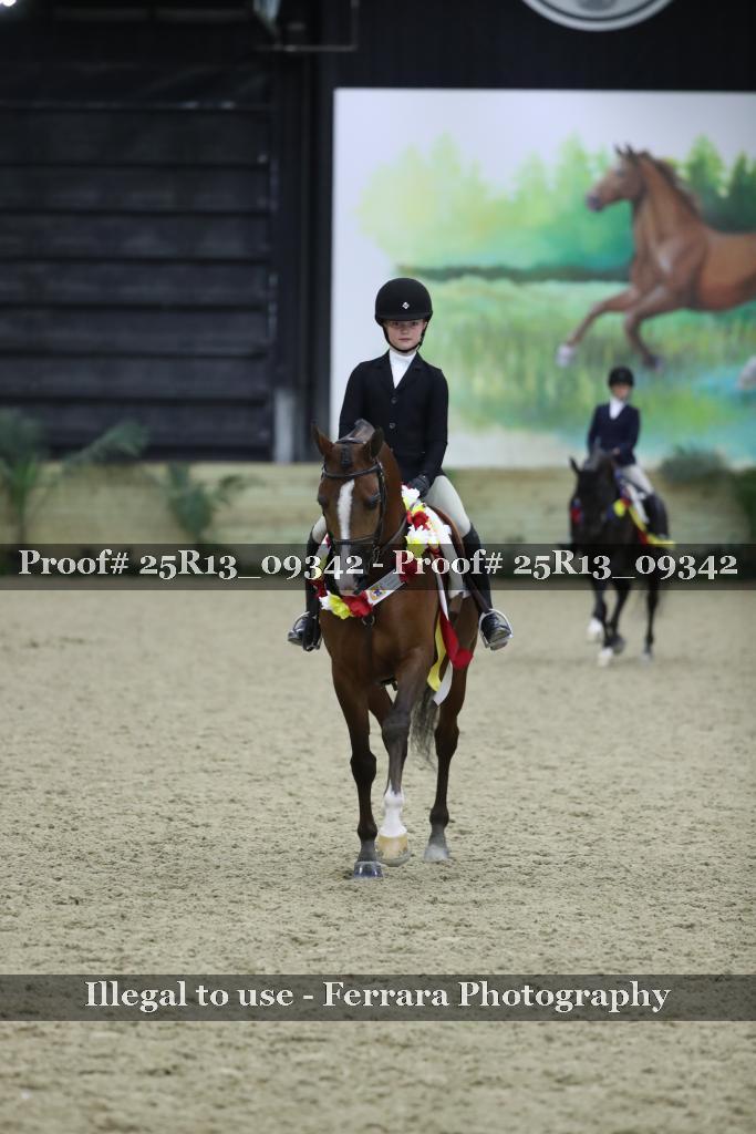 Proof Number 25R13_09342