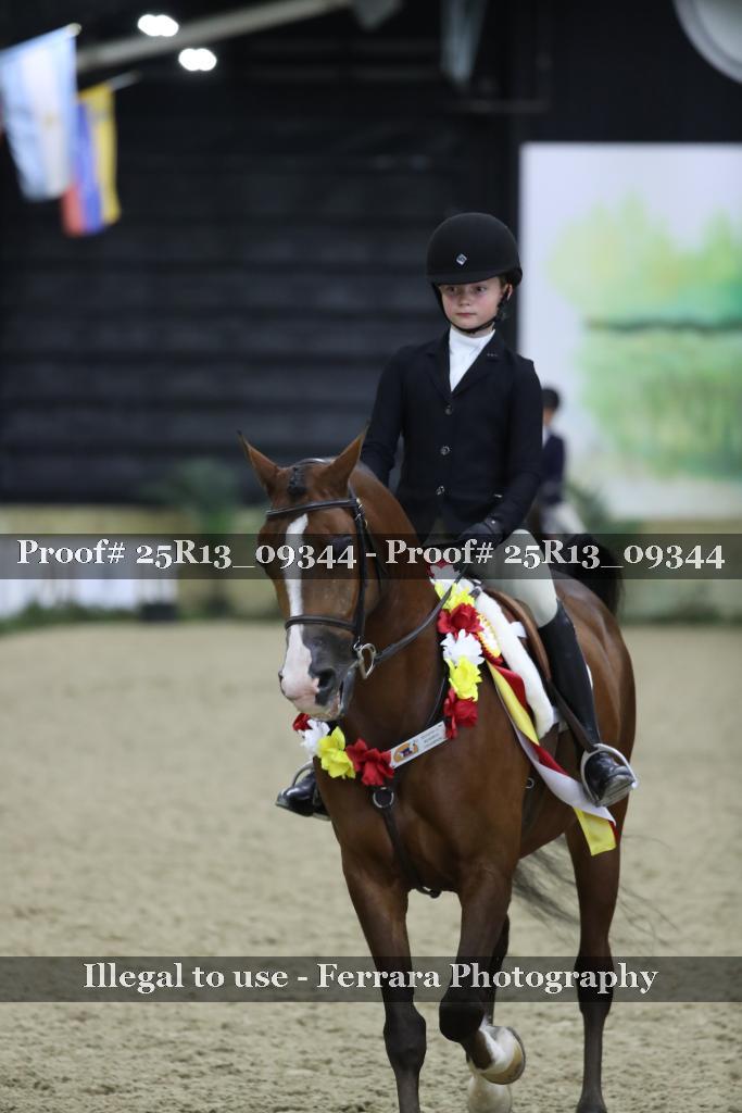 Proof Number 25R13_09344