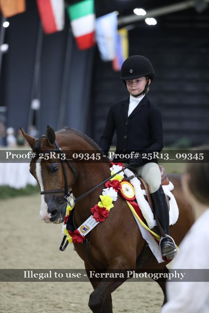 Proof Number 25R13_09345