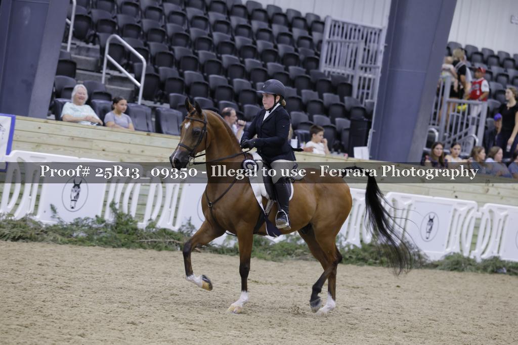 Proof Number 25R13_09350