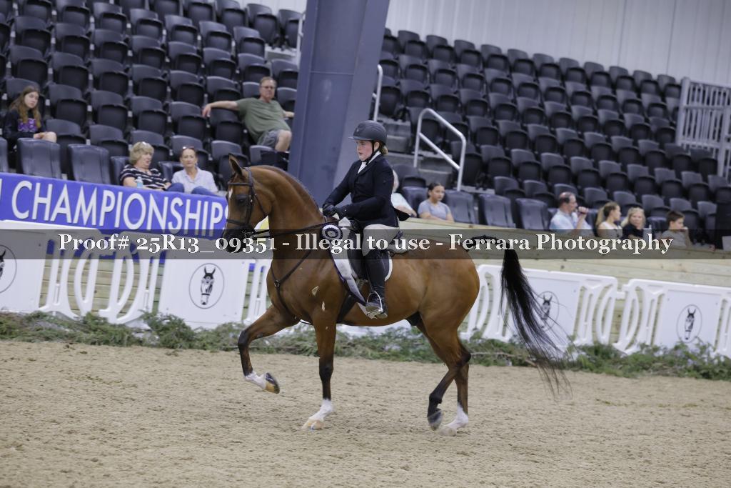 Proof Number 25R13_09351