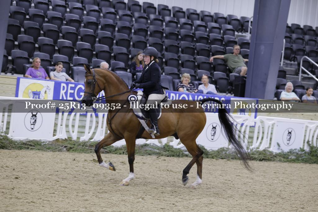 Proof Number 25R13_09352