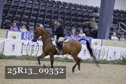 25R13_09352 thumbnail