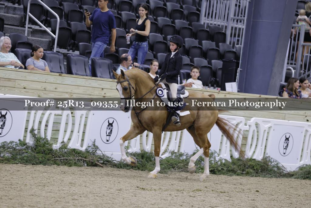 Proof Number 25R13_09355