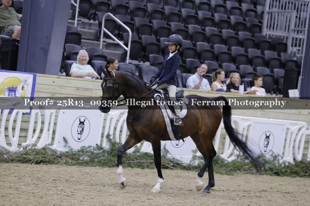 Proof Number 25R13_09359