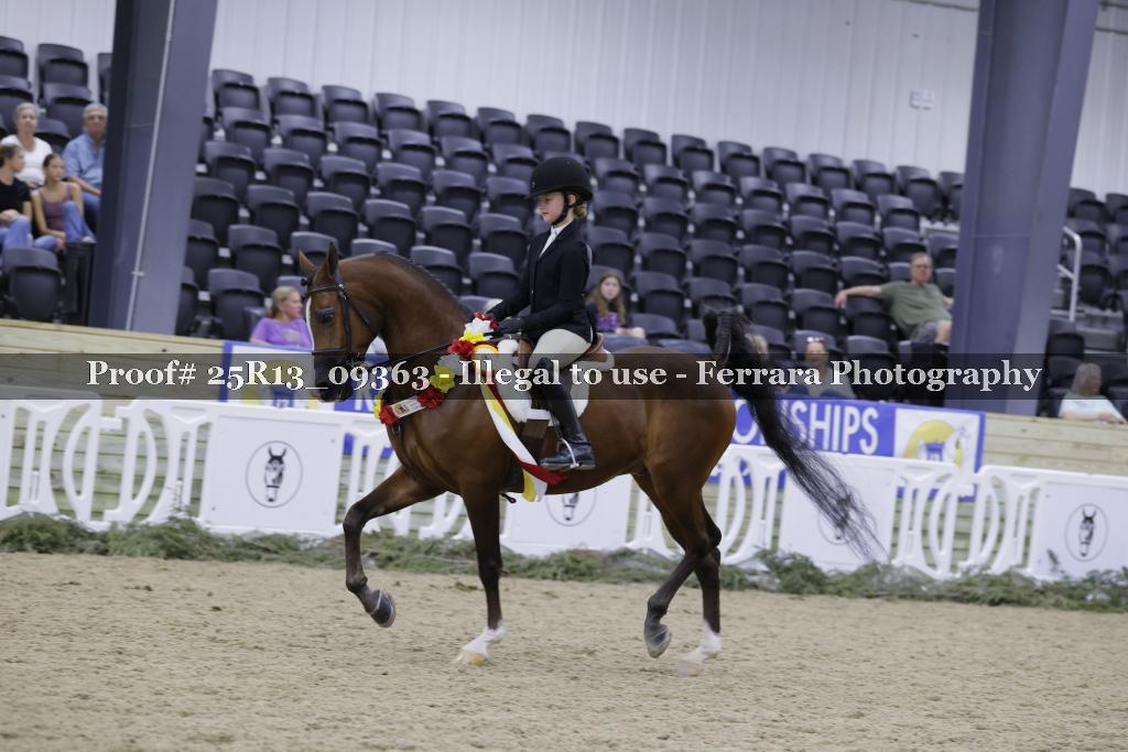 Proof Number 25R13_09363