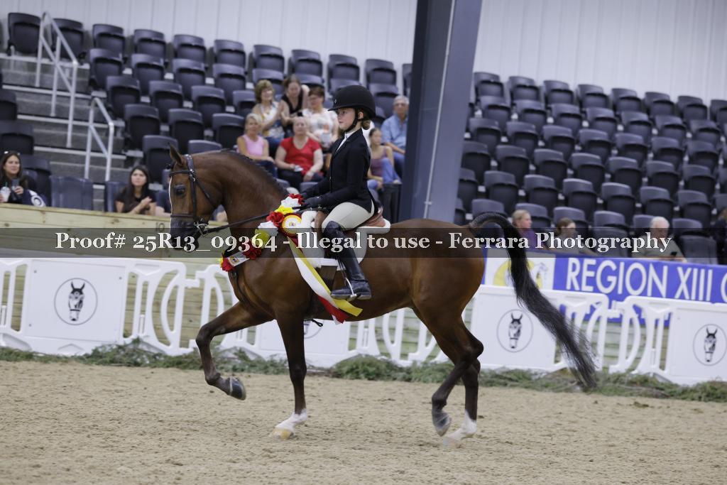 Proof Number 25R13_09364