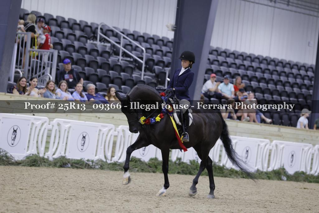 Proof Number 25R13_09366